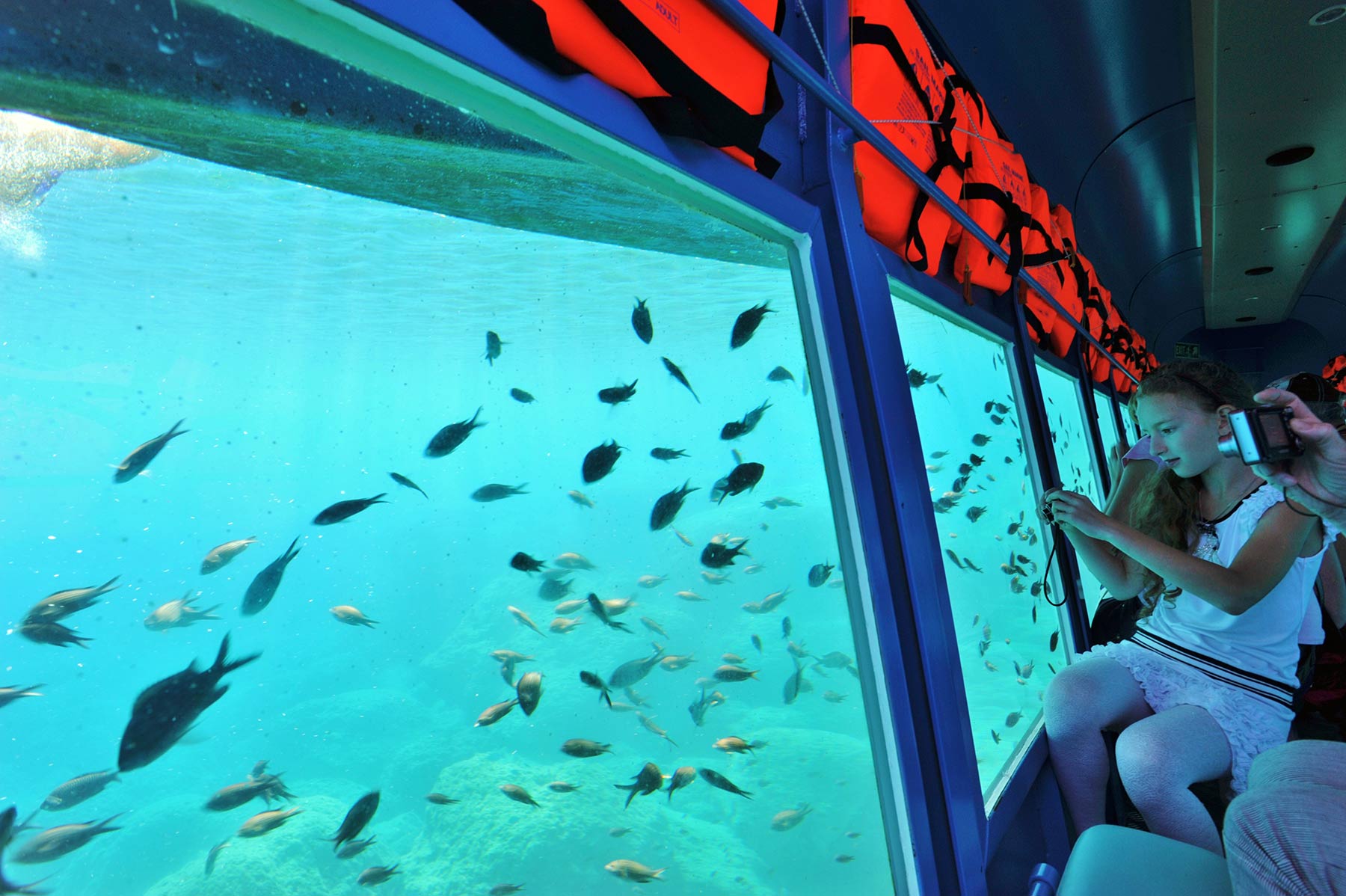 Yellow Submarine Cruises