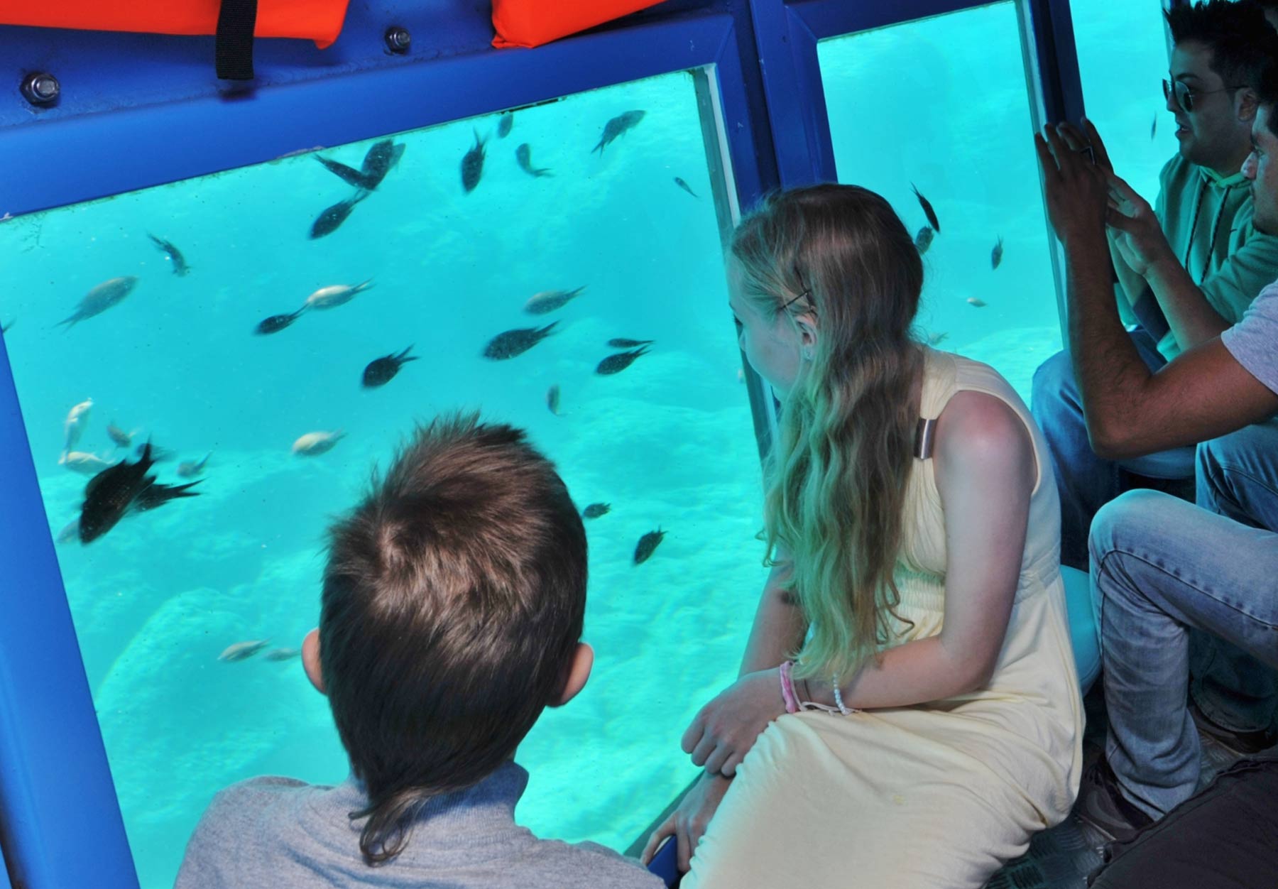 Yellow Submarine Cruises